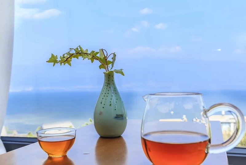 夏令營的起源是什么？