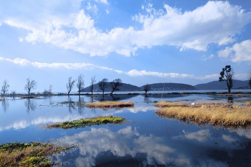 大理勵(lì)志夏令營(yíng)幫助孩子樹(shù)立志向，快來(lái)報(bào)名參加吧！