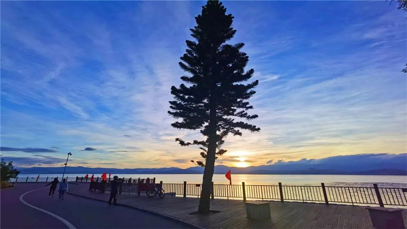 大理濃烈的夏日味道，都藏在洱海生態(tài)廊道