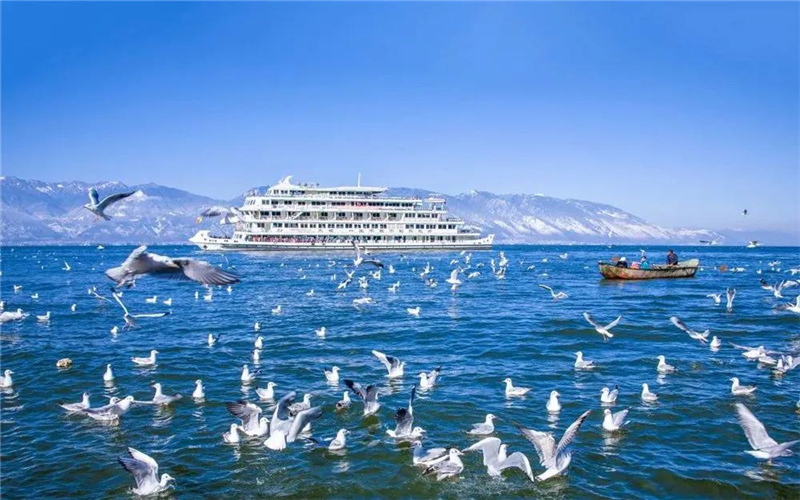 大理旅游 去表白吧！在大理這些美麗的湖畔