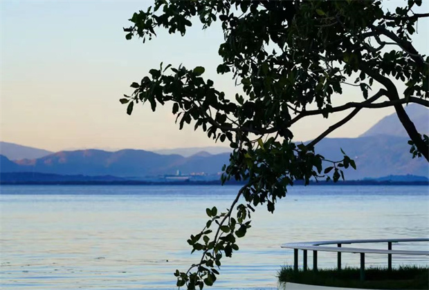 大理策劃公司:海舌，洱海邊的“寶藏公園”